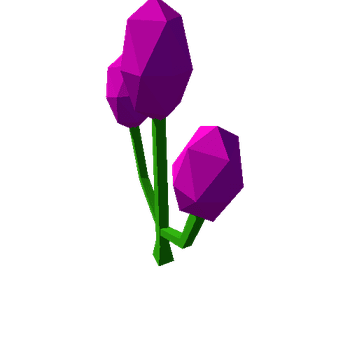 flower plant9